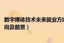 數(shù)字媒體技術(shù)未來(lái)就業(yè)方向（2022數(shù)字媒體技術(shù)專業(yè)就業(yè)方向及前景）