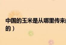 中國(guó)的玉米是從哪里傳來(lái)的（玉米是誰(shuí)在什么時(shí)候傳入中國(guó)的）