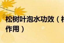 松樹葉泡水功效（松樹葉子泡水喝有哪些功效作用）