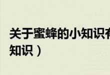 關(guān)于蜜蜂的小知識(shí)有哪些（盤(pán)點(diǎn)關(guān)于蜜蜂的小知識(shí)）