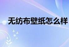 無紡布壁紙?jiān)趺礃?？如何選擇無紡布壁紙