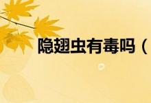隱翅蟲(chóng)有毒嗎（隱翅蟲(chóng)是吃什么的）
