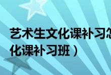 藝術生文化課補習怎么選(藝術生怎么選擇文化課補習班)