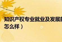 知識(shí)產(chǎn)權(quán)專業(yè)就業(yè)及發(fā)展前景(2022知識(shí)產(chǎn)權(quán)專業(yè)就業(yè)前景怎么樣)