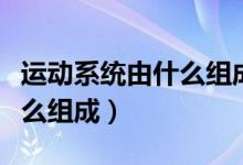 運(yùn)動系統(tǒng)由什么組成最新說法（運(yùn)動系統(tǒng)由什么組成）
