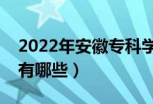 2022年安徽?？茖W校排名（最好的大專院校有哪些）