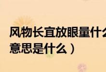 風(fēng)物長(zhǎng)宜放眼量什么意思（風(fēng)物長(zhǎng)宜放眼量的意思是什么）