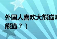 外國人喜歡大熊貓嗎（外國人到底有多喜歡大熊貓？）