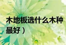 木地板選什么木種（實(shí)木地板選擇哪種木材的最好）