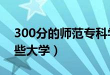 300分的師范專科學(xué)校有哪些（2021能上哪些大學(xué)）
