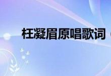 枉凝眉原唱歌詞（枉凝眉是誰演唱的）