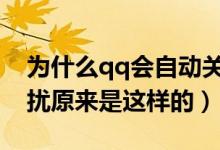 為什么qq會自動關(guān)閉消息免打擾（消息免打擾原來是這樣的）