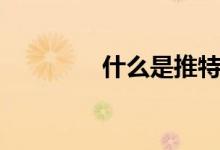 什么是推特（推特的簡(jiǎn)介）