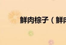 鮮肉棕子（鮮肉粽子怎么腌制？）
