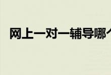 網(wǎng)上一對一輔導(dǎo)哪個(gè)平臺(tái)靠譜（怎么選擇）