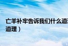 亡羊補(bǔ)牢告訴我們什么道理四個字（亡羊補(bǔ)牢告訴我們什么道理）