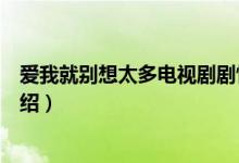愛(ài)我就別想太多電視劇劇情（愛(ài)我就別想太多電視劇劇情介紹）