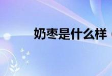 奶棗是什么樣（奶棗指的是什么）