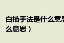 白描手法是什么意思在詩(shī)歌中（白描手法是什么意思）