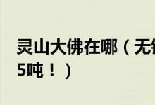 靈山大佛在哪（無錫靈山大佛造價26億 重725噸?。?class=