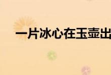 一片冰心在玉壺出自哪首詩(shī)（作者是誰(shuí)）
