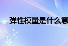 彈性模量是什么意思(彈性是什么意思)