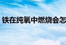 鐵在純氧中燃燒會怎么樣（鐵在純氧中燃燒）