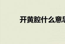 開(kāi)黃腔什么意思（開(kāi)黃腔什么梗）
