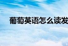 葡萄英語(yǔ)怎么讀發(fā)音（葡萄英語(yǔ)怎么讀）
