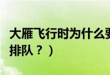 大雁飛行時為什么要排隊（大雁飛行時為啥要排隊？）