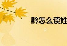 黔怎么讀姓氏(黔怎么讀)