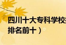 四川十大?？茖W校排名2022（高職高專院校排名前十）