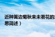 近種籬邊菊秋來(lái)未著花的意思（近種籬邊菊秋來(lái)未著花的意思簡(jiǎn)述）