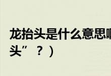 龍?zhí)ь^是什么意思啊（二月二為什么叫“龍?zhí)ь^”？）