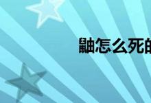 鼬怎么死的（鼬是誰呢）
