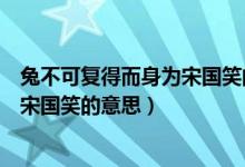 兔不可復(fù)得而身為宋國(guó)笑的意思是什么（兔不可復(fù)得而身為宋國(guó)笑的意思）