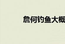 詹何釣魚大概內容（詹何釣魚）