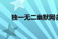 獨一無二幽默網名(驚艷的幽默網名)