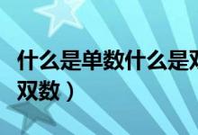 什么是單數(shù)什么是雙數(shù)啊（什么是單數(shù)什么是雙數(shù)）
