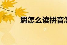羈怎么讀拼音怎么寫(xiě)（羈怎么讀）