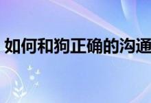 如何和狗正確的溝通(和狗正確的溝通方法)