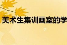 美術(shù)生集訓(xùn)畫室的學(xué)費(fèi)一般是多少(貴不貴)