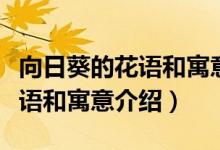 向日葵的花語(yǔ)和寓意是什么（關(guān)于向日葵的花語(yǔ)和寓意介紹）