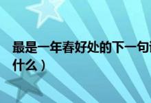 最是一年春好處的下一句詩句（最是一年春好處的下一句是什么）