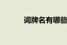 詞牌名有哪些（什么是詞牌名）