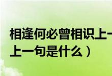 相逢何必曾相識上一句抖音(相逢何必曾相識上一句是什么)