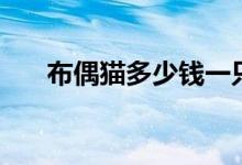 布偶貓多少錢一只（布偶貓價(jià)格介紹）