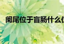 闌尾位于盲腸什么位置（闌尾在什么地方）