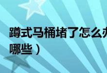 蹲式馬桶堵了怎么辦(疏通蹲式廁所的技巧有哪些)