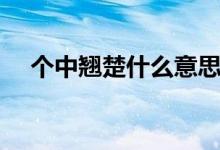 個(gè)中翹楚什么意思（個(gè)中翹楚是何意思）